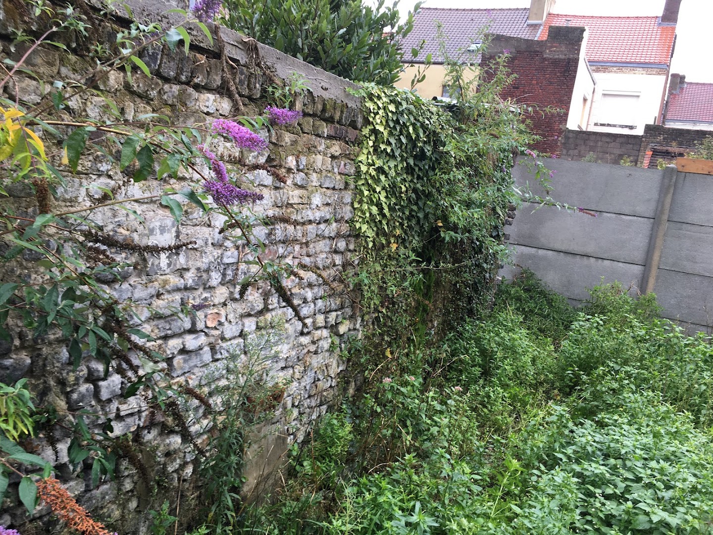 SC Rénovation — Photos 9