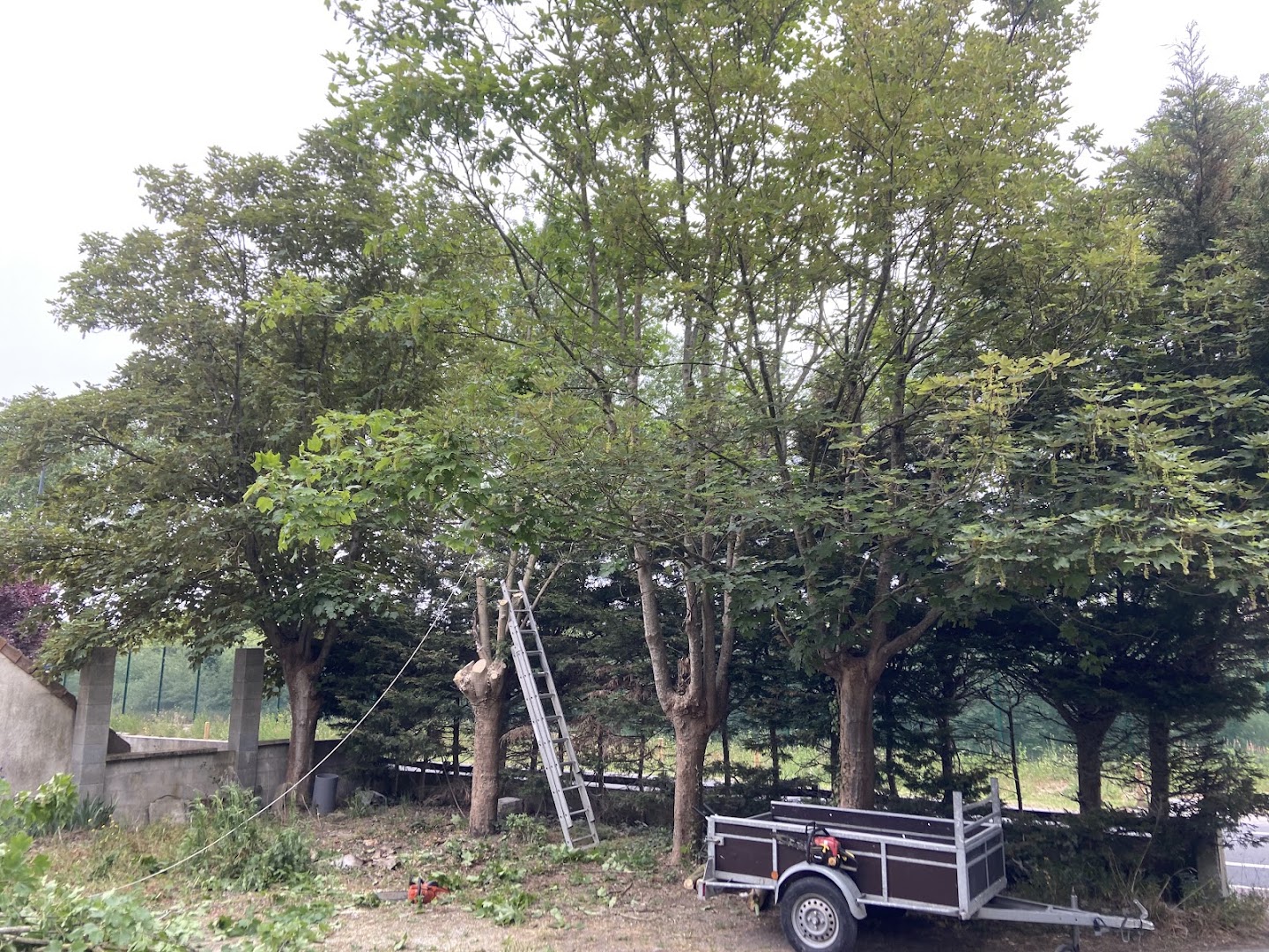 SC Rénovation — Photos 15